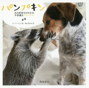 写真集 パンプキン 犬の気持ちがわかる不思議なアライグマ