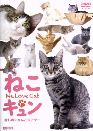 ねこキュン 癒しのにゃんこシアター We Love Cat