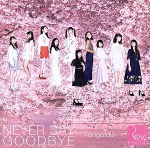 NEVER SAY GOODBYE ～arigatou～(DVD付)