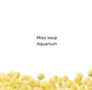 Miso Soup Aquarium