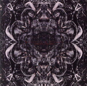 Death Is A Flower【通常盤】