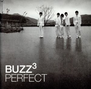 【輸入盤】Perfect