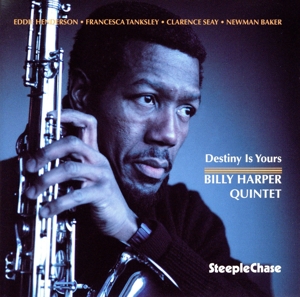 デスティニー・イズ・ユアーズ