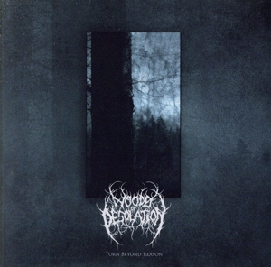 【輸入盤】Torn Beyond Reason
