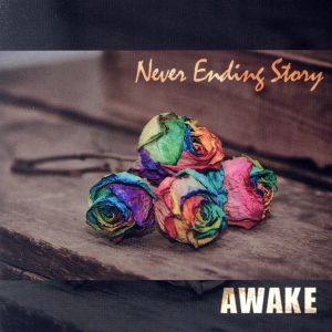 Never Ending Story(初回限定盤)(DVD付)