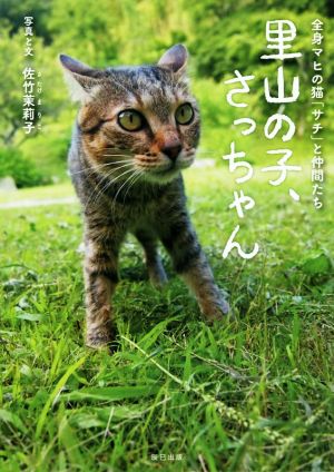 里山の子、さっちゃん 全身マヒの猫「サチ」と仲間たち