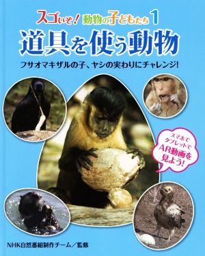 道具を使う動物 フサオマキザルの子、ヤシの実わりにチャレンジ！ スゴいぞ！動物の子どもたち1