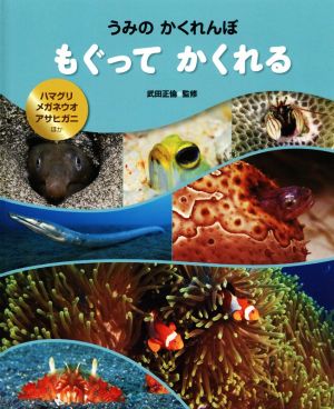 もぐってかくれる ハマグリ・メガネウオ・アサヒガニほか うみのかくれんぼ