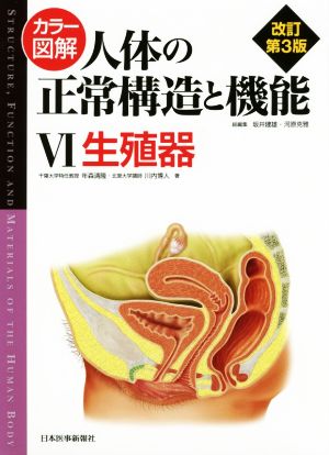 カラー図解 人体の正常構造と機能 改訂第3版(Ⅵ) 生殖器