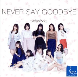 NEVER SAY GOODBYE ～arigatou～(Web盤 Type-B)(DVD付)