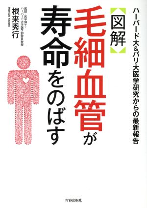 〈図解〉毛細血管が寿命をのばす ハーバード大&パリ大医学研究からの最新報告