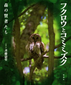 フクロウとコミミズク 森の賢者たち