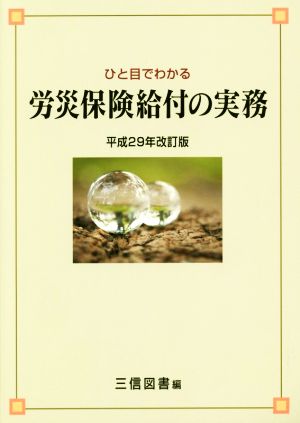 ひと目でわかる労災保険給付の実務(平成29年改訂版)