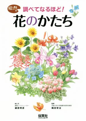 調べてなるほど！花のかたち 絵で見るシリーズ