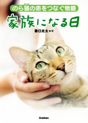 家族になる日 のら猫の命をつなぐ物語 動物感動ノンフィクション