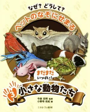 なぜ？どうして？ペットのなぞにせまる(3) まだまだいっぱい！小さな動物たち