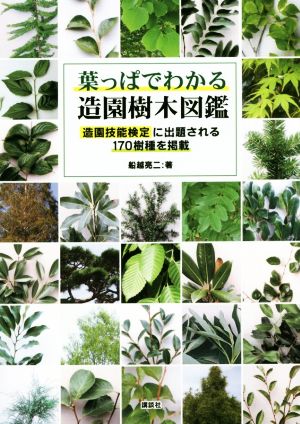 葉っぱでわかる造園樹木図鑑造園技能検定に出題される170樹種を掲載