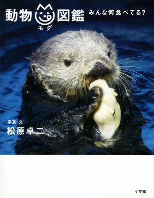 写真集 動物mg図鑑 みんな何食べてる？