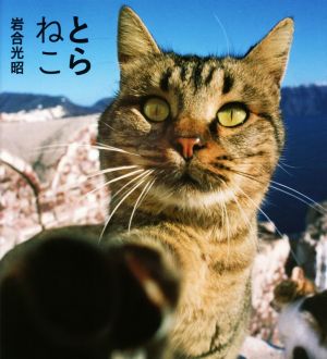 写真集 とらねこ IWAGO'S BOOK