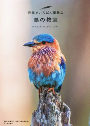 世界でいちばん素敵な鳥の教室