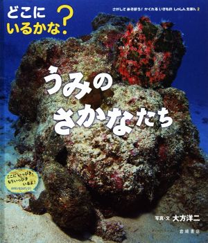 どこにいるかな？うみのさかなたち さがしてあそぼう！かくれるいきものしゃしんえほん2