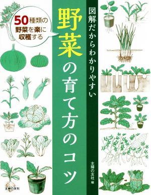 図解だからわかりやすい野菜の育て方のコツ 50種類の野菜を楽に収穫する