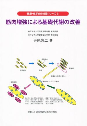 筋肉増強による基礎代謝の改善 健康・化学まめ知識シリーズ3