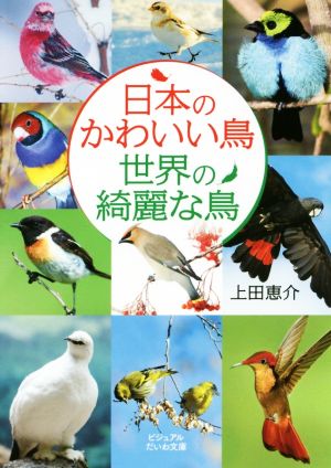 日本のかわいい鳥世界の綺麗な鳥ビジュアルだいわ文庫