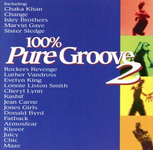 【輸入盤】100% Pure Groove 2