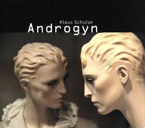 【輸入盤】Androgyn