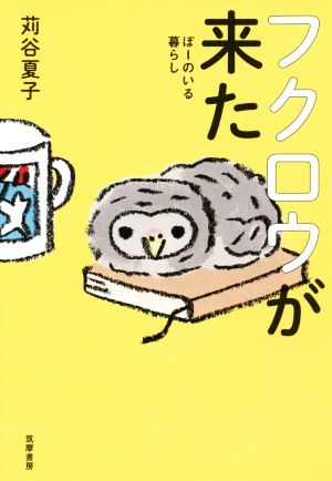 フクロウが来た ぽーのいる暮らし