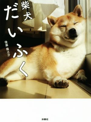 写真集 柴犬だいふく