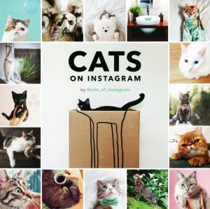 写真集 CATS ON INSTAGRAM