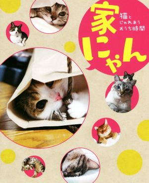 家にゃん 猫とじゃれあうおうち時間