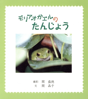 モリアオガエルのたんじょう