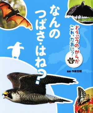 なんのつばさ・はね？ どうぶつのからだこれ、なあに？4