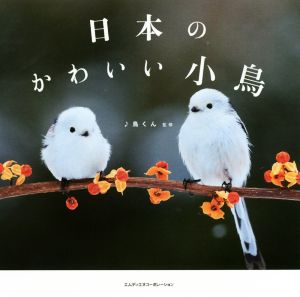 写真集 日本のかわいい小鳥