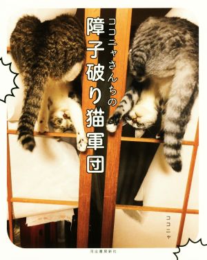 ココニャさんちの障子破り猫軍団