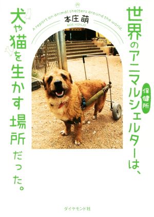 世界のアニマルシェルター保健所は、犬や猫を生かす場所だった。