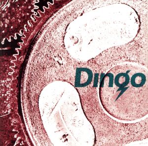 DINGO