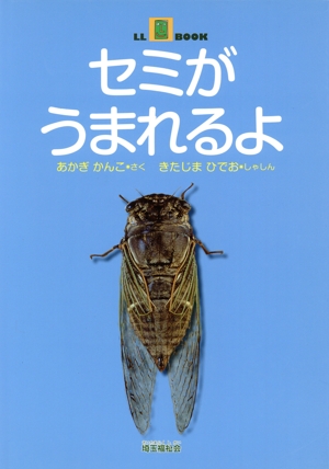 セミがうまれるよ LLブック