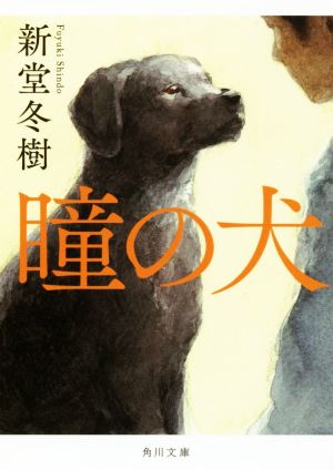 瞳の犬 角川文庫