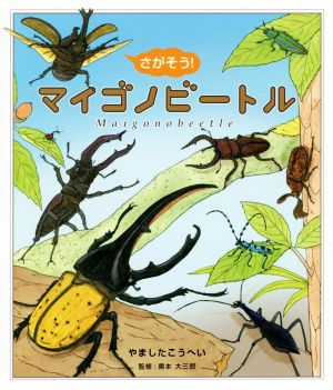 さがそう！マイゴノビートル