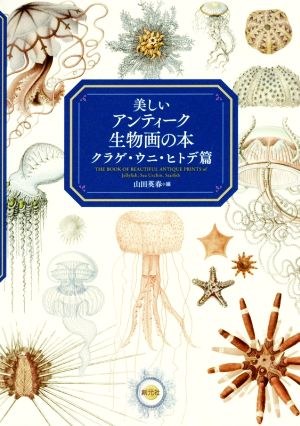 美しいアンティーク生物画の本 クラゲ・ウニ・ヒトデ篇