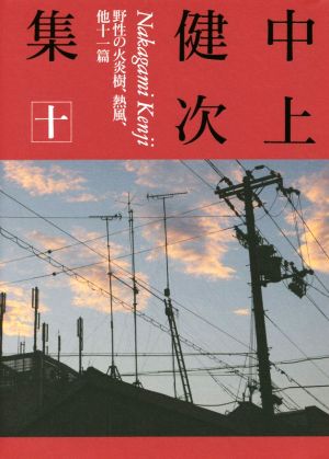 中上健次集(十) 野性の火炎樹、熱風、他十一篇