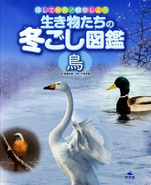 生き物たちの冬ごし図鑑 鳥 探して発見！観察しよう