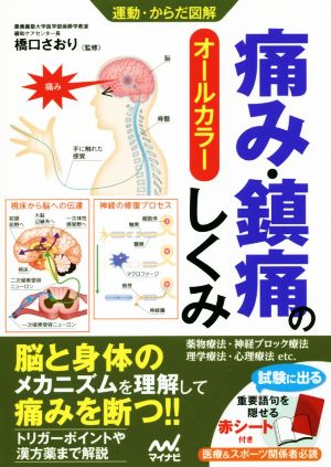 痛み・鎮痛のしくみオールカラー運動・からだ図解