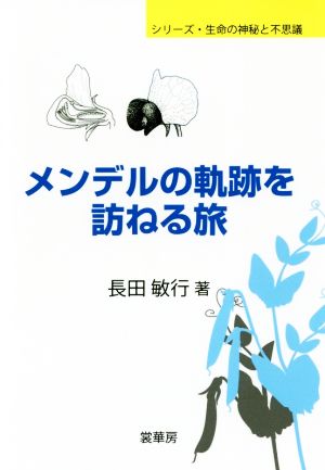 メンデルの軌跡を訪ねる旅 シリーズ・生命の神秘と不思議