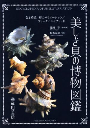 美しき貝の博物図鑑 色と模様、形のバリエーション/フリーク/ハイブリッド