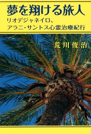 夢を翔ける旅人 リオデジャネイロ、アラニ・サントス心霊治療紀行